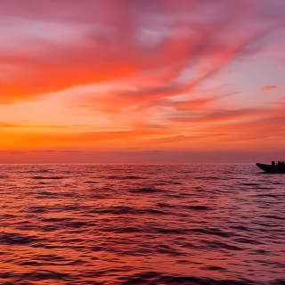 Delphine bei Sonnenaufgang in Alcúdia beobachten 9