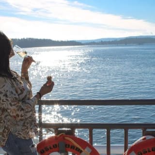 Oslofjord Sightseeing 13