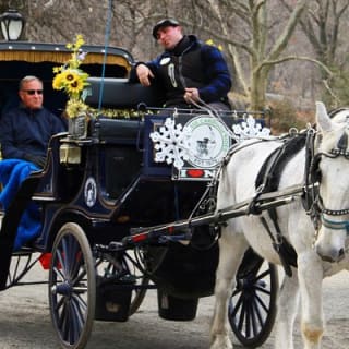 Offizielle Pferdekutschenfahrten in Central Park seit 1979 ™ 8