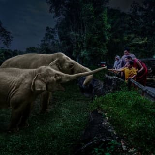 Singapore Night Safari with Tram Ride 1