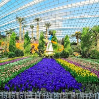 Gardens By The Bay Admission Ticket 5