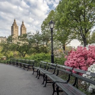 Offizielle Pferdekutschenfahrten in Central Park seit 1979 ™ 9