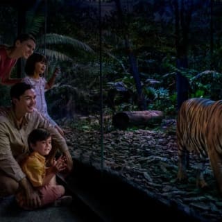 Singapore Night Safari with Tram Ride 2