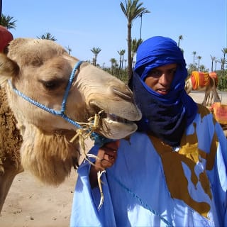 Promenade à dos de chameau dans les palmeraies de Marrakech 16
