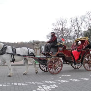 Offizielle Pferdekutschenfahrten in Central Park seit 1979 ™ 10