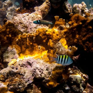 Culebra Snorkeling Tour by Catamaran from Fajardo 24