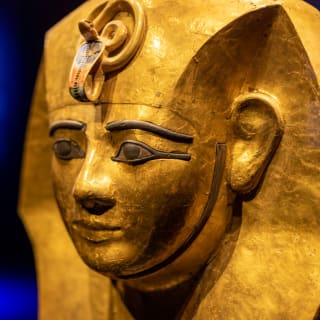 Ramses and the Pharaohs' Gold: The Exhibition 9