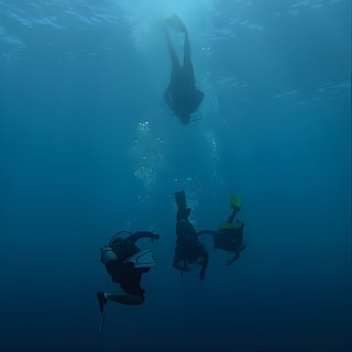 Bajo un mar de aventuras, inmersiones inolvidables. 31