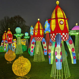 Winter Lantern Festival (Tysons, VA) 5
