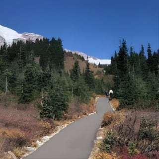 Kleingruppen-Tour durch den Mount Rainier National Park ab Seattle 5