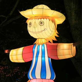 Winter Lantern Festival (Tysons, VA) 6