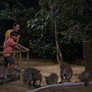 Singapore Night Safari with Tram Ride 5