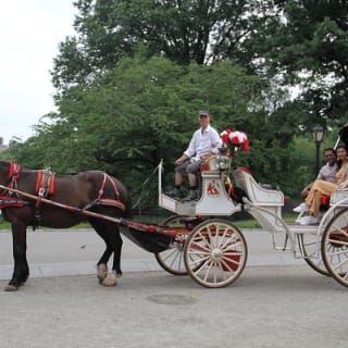 Offizielle Pferdekutschenfahrten in Central Park seit 1979 ™ 14