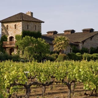 Napa Valley & Sonoma: Wine Tour from San Francisco 2