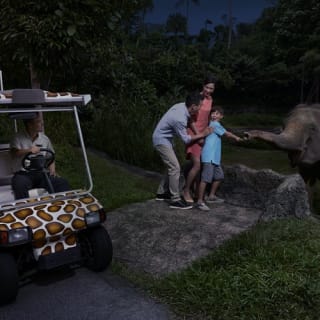 Singapore Night Safari with Tram Ride 6