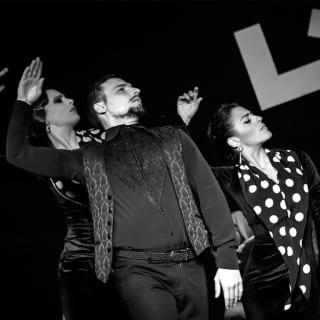 Live Flamenco Show 3