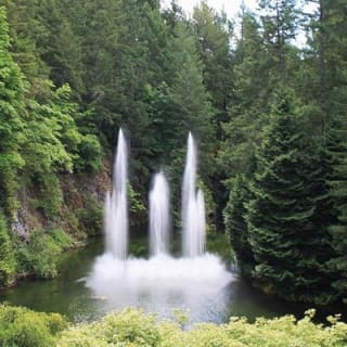The Butchart Gardens Express Shuttle 3