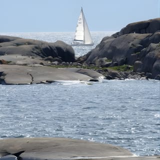 Redrib&nbsp;Archipelago&nbsp;Experience&nbsp; 8