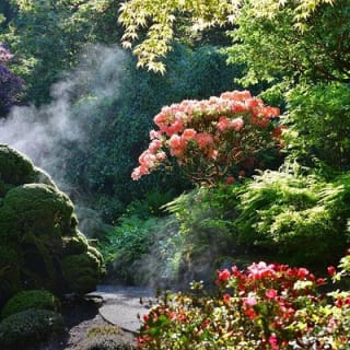 The Butchart Gardens Express Shuttle 4