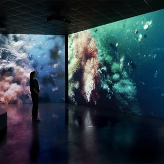 EAUX VIVES â PRĂSENTĂ PAR PANORAMA EXPERIENCE 11