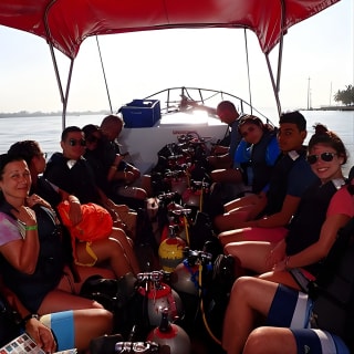 Minicurso de buceo de un día - Discover Scuba Diving 3