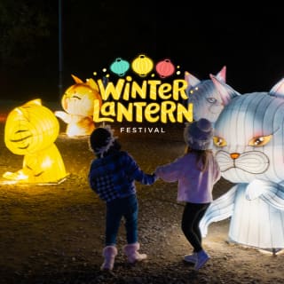 Winter Lantern Festival - Atlanta, GA 3