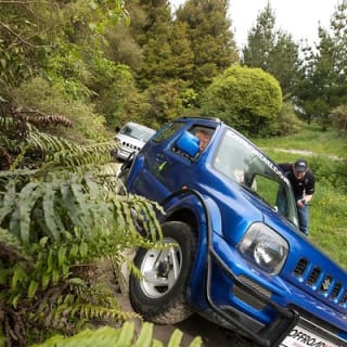 4WD Bush Safari at Off Road NZ 6