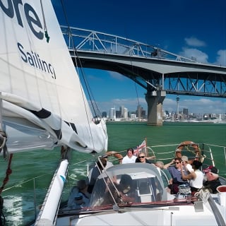 Auckland Harbour Sailboat Cruise Including Three Course Dinner 6