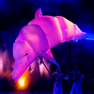 Dreamtopia en 1604 Broadway 3