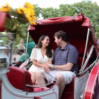 Offizielle Pferdekutschenfahrten in Central Park seit 1979 ™ 21