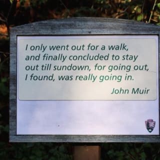 Muir Woods : excursion d'une demi-journée au départ de San Francisco 2