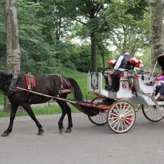 Offizielle Pferdekutschenfahrten in Central Park seit 1979 ™ 22