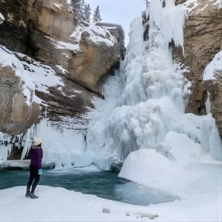Desde Calgary: explora el lago Moraine, el lago Louise y Banff. 11