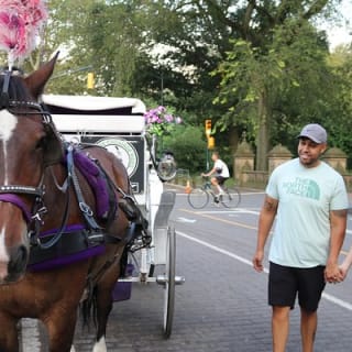 Offizielle Pferdekutschenfahrten in Central Park seit 1979 ™ 23