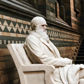 Museo de Historia Natural de Londres - Visita guiada privada al museo 1