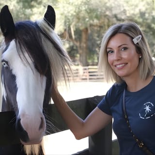 Gypsy Gold Horse Farm Tour 6