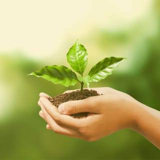 Día mundial del medioambiente 7 1