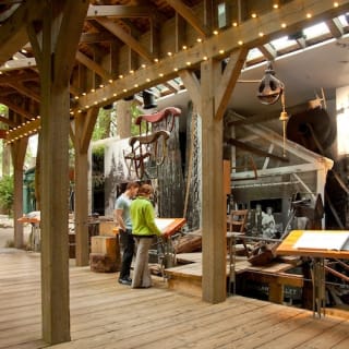 Grouse Mountain & Capilano Suspension Bridge Park: Guided Tour 9