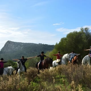 Horseback Riding in Randa Valleys, Mallorca, Spain 3
