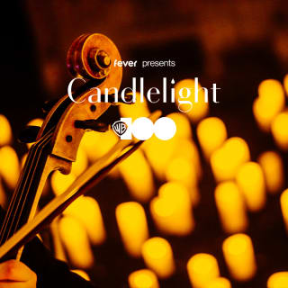 Candlelight: 100 Years of Warner Bros. 5