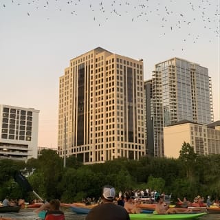 Congress Avenue Bat Bridge Kayak Tour in Austin 9