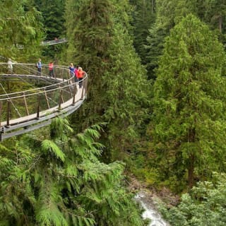Grouse Mountain & Capilano Suspension Bridge Park: Guided Tour 10