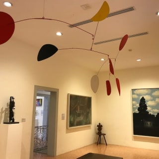 Collezione Peggy Guggenheim: Biglietto Fast Track 6