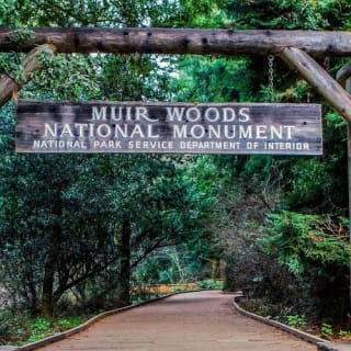 Muir Woods : excursion d'une demi-journée au départ de San Francisco 6