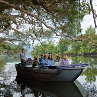 Daintree River 'Dawn' Cruise with the Daintree Boatman 18