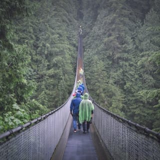 Grouse Mountain & Capilano Suspension Bridge Park: Guided Tour 12