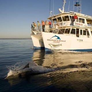Jervis Bay & Dolphins Cruise - One Day Tour 14