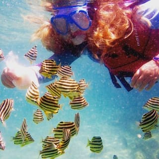 2.5 horas de kayaking y snorkel en el Gold Coast 13