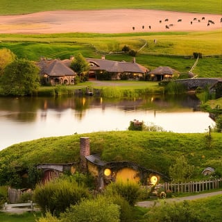 Hobbiton Movie Set Tour with lunch from Auckland 1