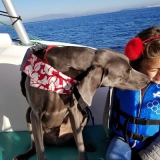 2.5-Hour Catamaran Sail Adventure 10